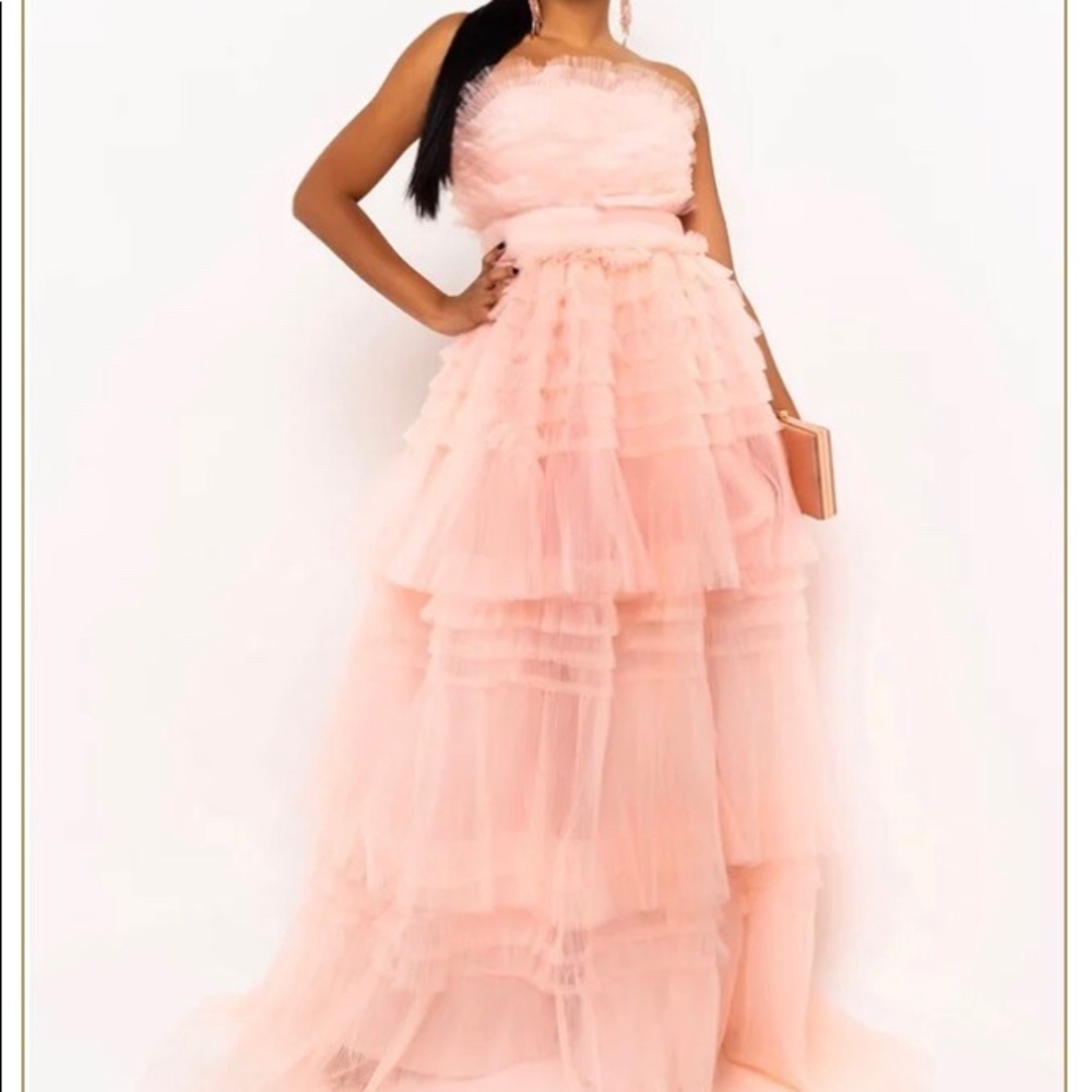 Tulle Dress/Gown